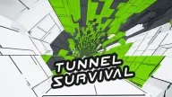 Tunnel Survival